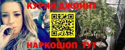 спайс Будённовск
