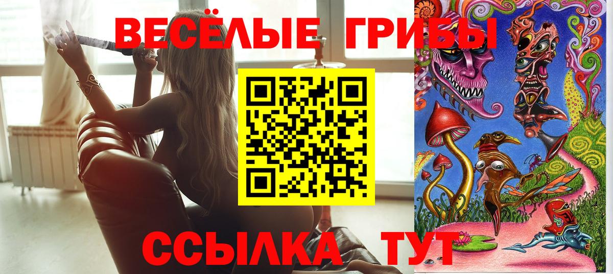 Галлюциногенные грибы MAGIC MUSHROOMS Чайковский