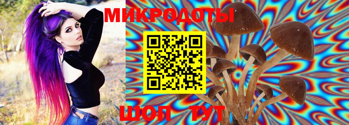 Псилоцибиновые грибы мицелий  Вход с VPN  Чайковский  Псилоцибиновые грибы MAGIC MUSHROOMS 